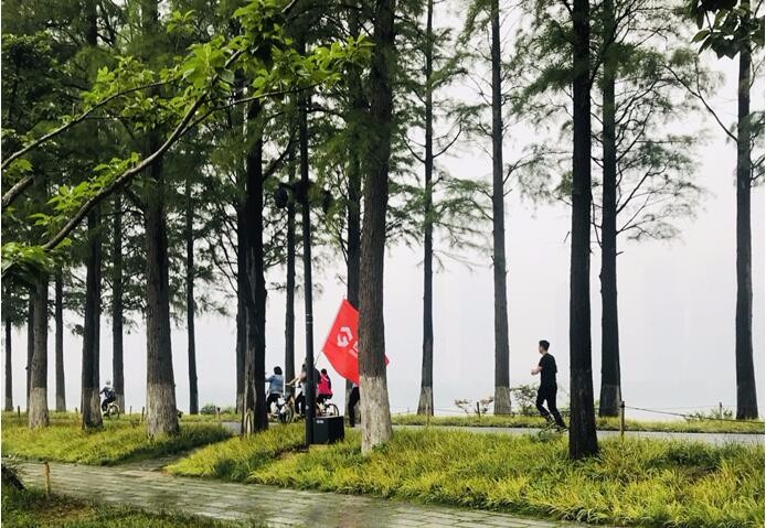 云顶集团3118·(中国区)最新官方网站