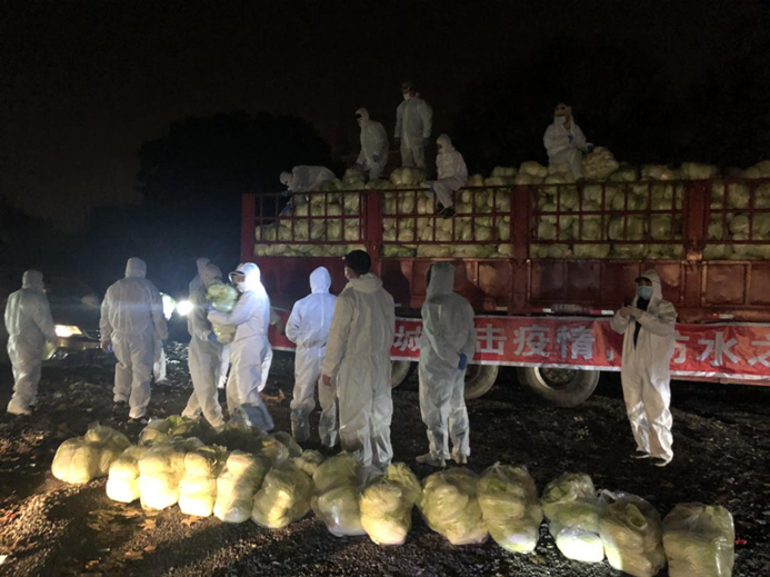 云顶集团3118·(中国区)最新官方网站