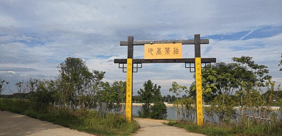 云顶集团3118·(中国区)最新官方网站