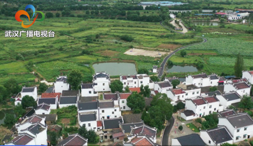 云顶集团3118·(中国区)最新官方网站