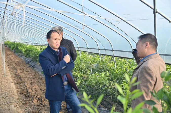 云顶集团3118·(中国区)最新官方网站