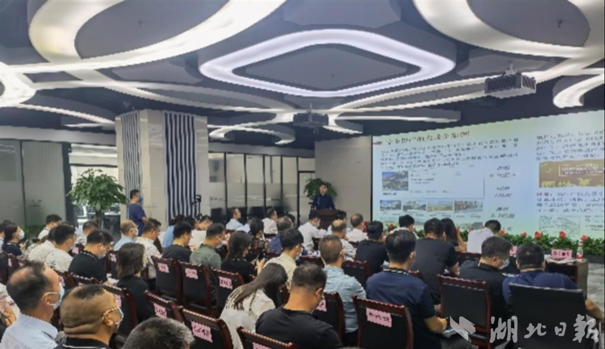 云顶集团3118·(中国区)最新官方网站