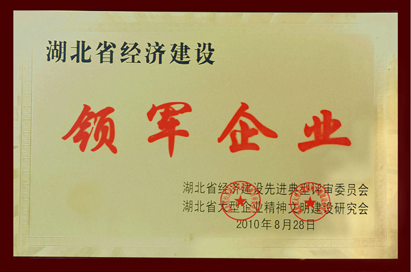 云顶集团3118·(中国区)最新官方网站